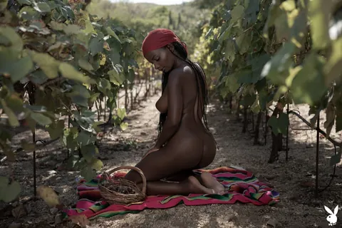 Shasta Wonder: Tall Ebony Brunette Poses Nude Showing Her Natural Tits – photo 16 of 20