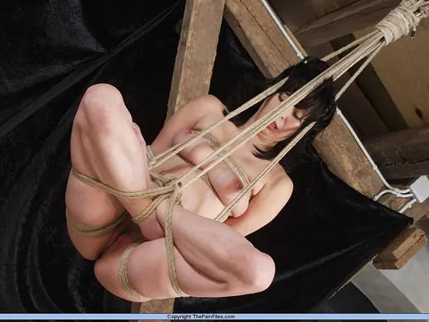 Brunette with Big Tits Hangs in Rope Bondage in Lotus – photo 15 of 16